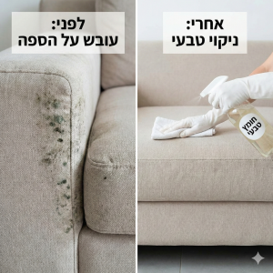 ניקוי עובש מספה